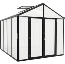 Gewächshaus Vitavia Zeus Comfort 8100 Hohlkammerplatten 16 mm mit Bodenprofil 258,4x316,4 cm schwarz