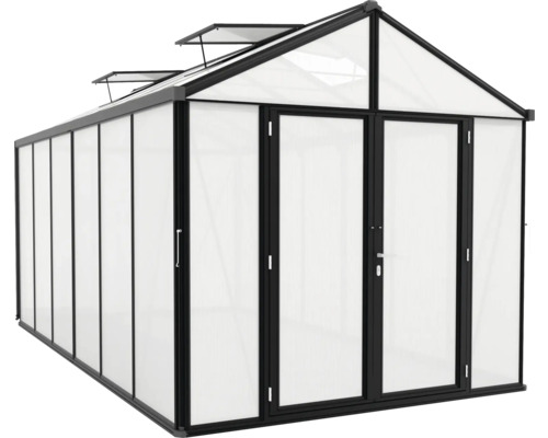 Serre avec double porte et fenêtres de toit