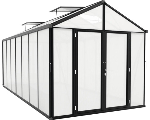 Gewächshaus mit Doppeltür und Dachfenstern