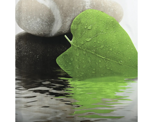 Dekoratives Stillleben mit Steinen, Blatt und Wasserspiegelung