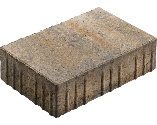 Pavé en béton