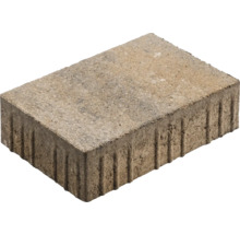 Pflasterstein Rechteckpflaster Crescendo muschelkalk mit Microfase 30 cm x 20 cm x 8 cm