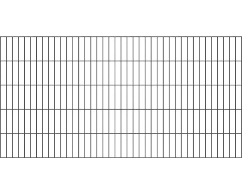 Panneau rigide double fil ALBERTS type 6/5/6 200 x 100 cm RAL 9005 noir mat