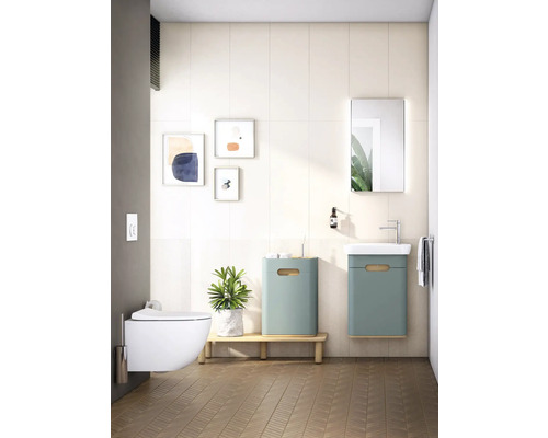 Salle de bains moderne avec WC suspendu, lavabo, miroir et décorations