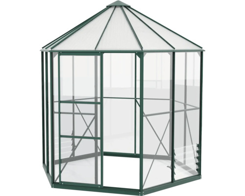 Serre hexagonale avec parois et toit transparents