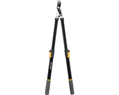 Élagueur à manche télescopique