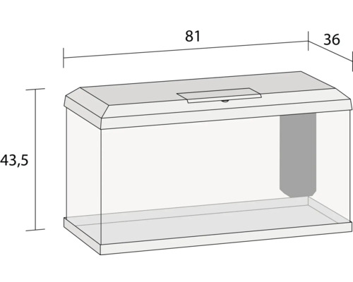 Aquarium avec des dimensions de 81 cm de long, 36 cm de large et 43,5 cm de haut.