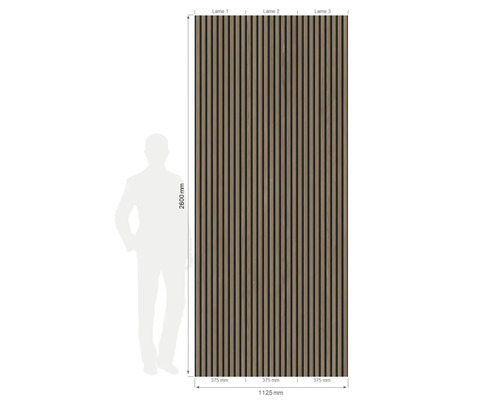Illustration einer Wandverkleidung mit Holzlamellen mit Maßangaben