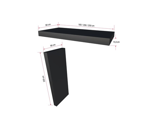 Produktbild mit Maßangaben: Regalboden und Seitenwand mit den Maßen 90 cm, 160/200/250 cm und 15,5 cm beziehungsweise 220 cm.