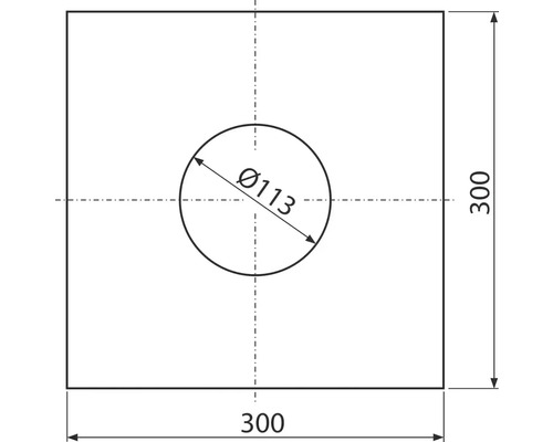 Technische Zeichnung einer Platte mit einem Durchmesser von 113 mm und einer Größe von 300 x 300 mm