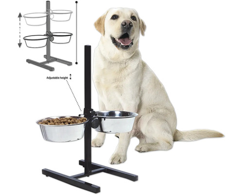 Hundefutterstation mit zwei Edelstahlnäpfen und Höhenverstellung neben einem sitzenden Hund