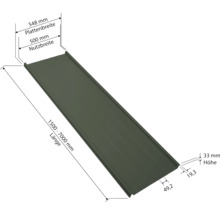 PRECIT Trapezplatte für Dach mit Antikondensationsvlies W33LV Nadelgrün RAL 6020 80mµ Shimoco Beschichtung Fix-Breite 548 mm x Stärke 0,5 mm (Meterware ab 150 bis max. 900 cm)