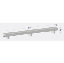Zeichnung einer Duschrinne mit den Maßen 2200 mm Länge, 180 mm Breite und 190 mm Höhe.