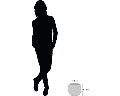 Image d''un pot de fleurs mesurant 11,5 cm de large et 8,5 cm de haut, servant de comparaison de taille avec une silhouette humaine.