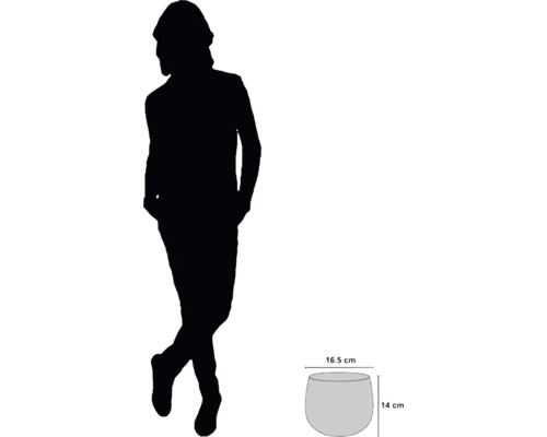 Image d''une jardinière mesurant 16,5 cm de diamètre et 14 cm de haut