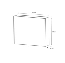 Illustration einer Pflanzkasten-Ansicht mit den Maßen 100, 80 und 25 Zentimeter.