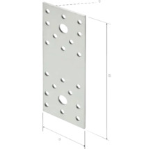 Lochplatte mit Bohrlöchern und Maßangaben