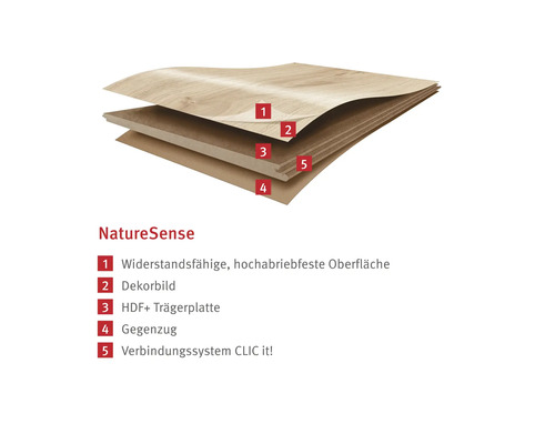 Représentation en coupe d''un plancher stratifié avec étiquetage des différentes couches