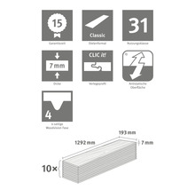 Informations sur la période de garantie, le format des planches, la classe d''utilisation, l''épaisseur, le profil de pose, la surface antistatique, le chanfrein Woodvision à 4 côtés et les dimensions.