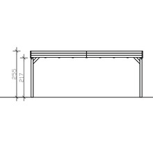 Skizze eines Carports mit den Maßen 255 mal 217 Zentimeter.