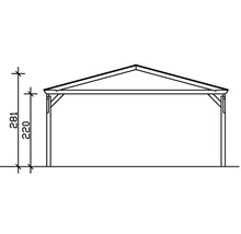 Technische Zeichnung eines Carports mit Höhenangaben 281 cm und 220 cm.