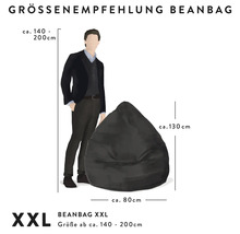 Pouf coussin Sitting Point Beanbag Brava XXL env. 300 litres eucalyptus 80x130 cm