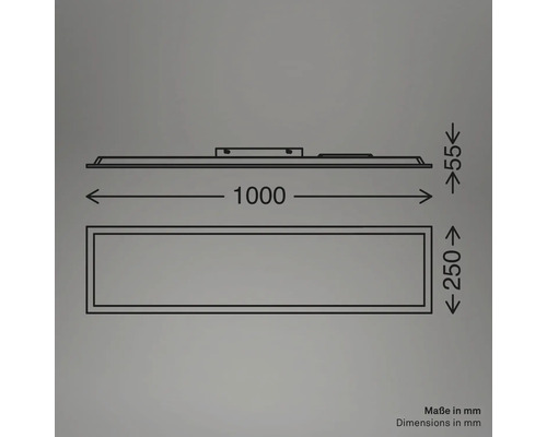 Technische Zeichnung einer Lampe mit den Maßen 1000 mm Länge, 250 mm Breite und 55 mm Höhe.