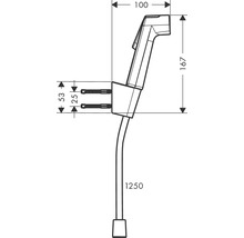 hansgrohe Bidetbrauseset Bidette 1jet S EcoSmart mit Porter S Brausehalter und Brauseschlauch 125 cm brushed blach chrom gebürstet 29238340