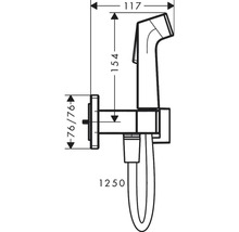 hansgrohe Bidetbrauseset Bidette 1jet E EcoSmart für Warmwasser mit Brausehalter und Brauseschlauch 125 cm schwarz matt 29233670