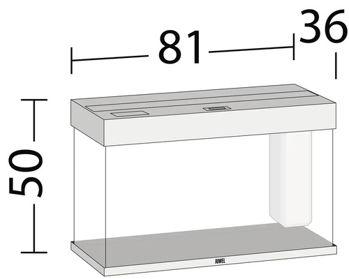Abbildung eines Aquariums mit Größenangaben: 50 cm Höhe, 81 cm Länge und 36 cm Breite.
