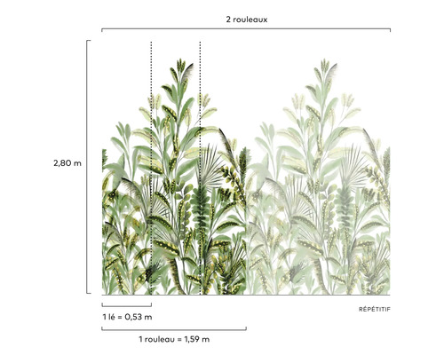 Illustration des dimensions d''un papier peint photo avec des motifs végétaux.