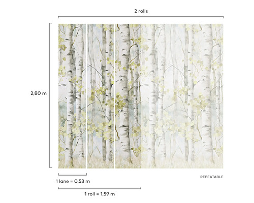 Papier peint avec motif de forêt de bouleaux pour la décoration murale