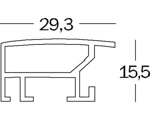 Dessin technique d''un profilé avec les dimensions 29,3 et 15,5