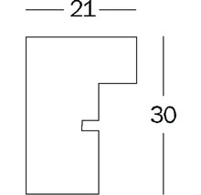 Dimensions du profilé : 21 x 30 millimètres