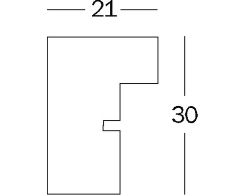 Dimensions du profilé : 21 x 30 millimètres