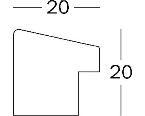 Dessin technique Section de profil avec dimensions 20 x 20