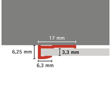 Abbildung der Maße eines Profils: 17 mm, 6,25 mm, 6,3 mm und 3,3 mm.