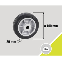 Roue avec des dimensions de 100 mm de diamètre et 30 mm de largeur, capacité de charge de 70 kg