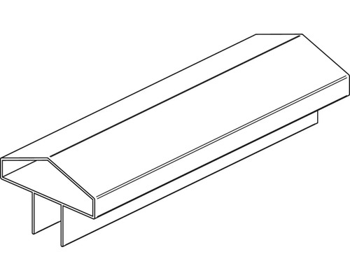 Rail profilé pour diverses applications