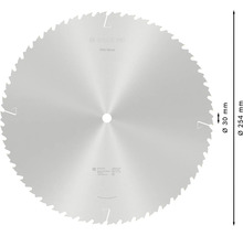 Kreissägeblatt mit 254 Millimeter Durchmesser und 30 Millimeter Bohrungsdurchmesser
