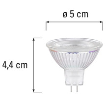 MR16 Leuchtmittel mit den Maßen 4,4 cm Höhe und 5 cm Durchmesser