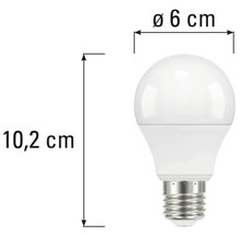 Image d'une ampoule avec des dimensions de 10,2 centimètres de hauteur et 6 centimètres de diamètre.