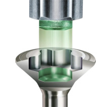 Section d'une vis avec entraînement Torx