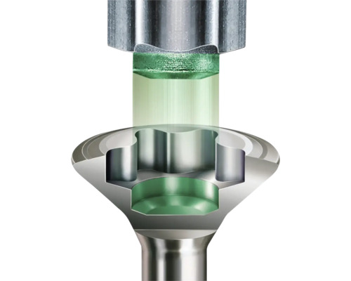 Section d'une vis avec entraînement Torx