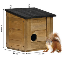 Eichhörnchenhaus aus Holz mit schwarzem Dach und einem Eichhörnchen