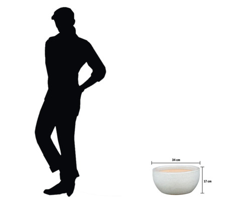 Dekorative Pflanzschale mit Größenangaben 34 cm breit und 17 cm hoch.