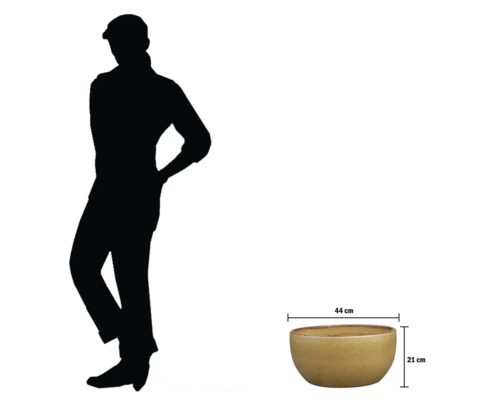 Bol mesurant 44 cm sur 21 cm