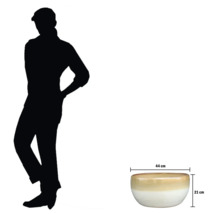 Coupe décorative mesurant 44 sur 21 centimètres.