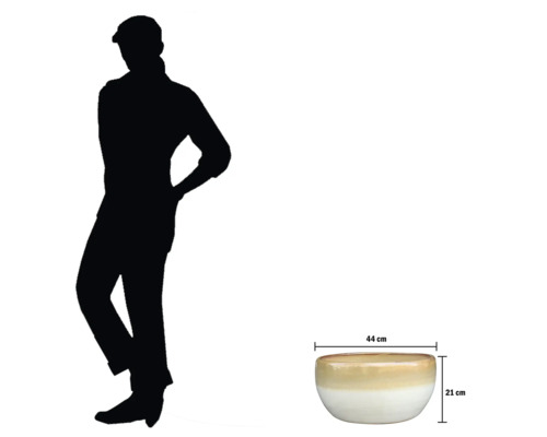 Coupe décorative mesurant 44 sur 21 centimètres.