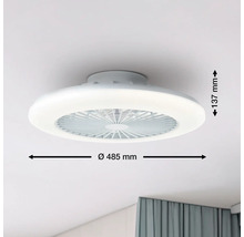 Ventilateur de plafond avec éclairage, diamètre 485 millimètres, hauteur 137 millimètres